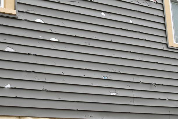 Affordable siding repair and maintenance services in Clive, IA